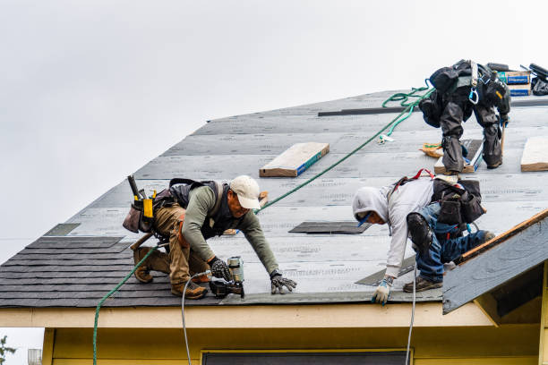 Professional Gutter Installation technician working in Ovid, MI